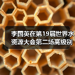 李国英在第19届世界水资源大会第二场高级别全体会议部长级对话