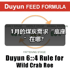 1月的煤炭需求“底座”在哪? 1月的煤炭需求“底座”在哪?