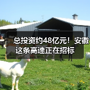 总投资约48亿元!安徽这条高速正在招标 总投资约48亿元!安徽这条高速正在招标
