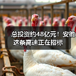 总投资约48亿元!安徽这条高速正在招标 总投资约48亿元!安徽这条高速正在招标