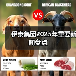 伊泰集团2025年重要新闻盘点