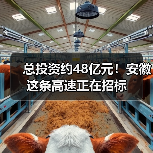 总投资约48亿元!安徽这条高速正在招标 总投资约48亿元!安徽这条高速正在招标