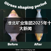 淮北矿业集团2025年十大新闻 淮北矿业集团2025年十大新闻