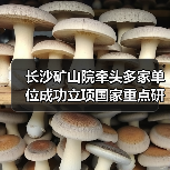 长沙矿山院牵头多家单位成功立项国家重点研发计划战略性重点专项 长沙矿山院牵头多家单位成功立项国家重点研发计划战略性重点专项