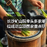 长沙矿山院牵头多家单位成功立项国家重点研发计划战略性重点专项 长沙矿山院牵头多家单位成功立项国家重点研发计划战略性重点专项