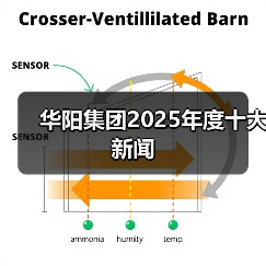 华阳集团2025年度十大新闻 华阳集团2025年度十大新闻
