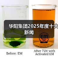 华阳集团2025年度十大新闻 华阳集团2025年度十大新闻