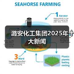 潞安化工集团2025年十大新闻