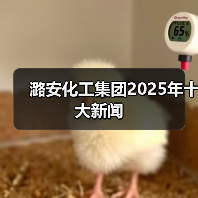潞安化工集团2025年十大新闻