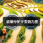 致敬守护平安的力量 致敬守护平安的力量