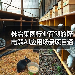 株冶集团行业首创的锌电解AI应用场景项目通过验收