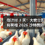 倒计时 3 天!大宏立即将亮相 2026 沙特国际矿业展,解 倒计时 3 天!大宏立即将亮相 2026 沙特国际矿业展,解