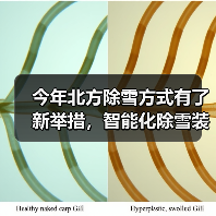 今年北方除雪方式有了新举措，智能化除雪装备成主力军