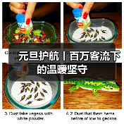 元旦护航丨百万客流下的温暖坚守