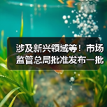 涉及新兴领域等!市场监管总局批准发布一批重要国家标准 涉及新兴领域等!市场监管总局批准发布一批重要国家标准