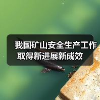 我国矿山安全生产工作取得新进展新成效