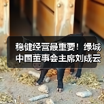 稳健经营最重要!绿城中国董事会主席刘成云谈企业发展丨对话20 稳健经营最重要!绿城中国董事会主席刘成云谈企业发展丨对话20