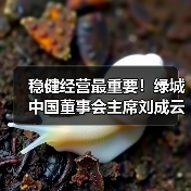 稳健经营最重要!绿城中国董事会主席刘成云谈企业发展丨对话20 稳健经营最重要!绿城中国董事会主席刘成云谈企业发展丨对话20