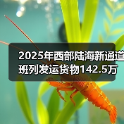 2025年西部陆海新通道班列发运货物142.5万标箱 同比增 2025年西部陆海新通道班列发运货物142.5万标箱 同比增