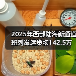 2025年西部陆海新通道班列发运货物142.5万标箱 同比增 2025年西部陆海新通道班列发运货物142.5万标箱 同比增