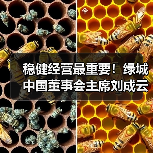 稳健经营最重要!绿城中国董事会主席刘成云谈企业发展丨对话20 稳健经营最重要!绿城中国董事会主席刘成云谈企业发展丨对话20