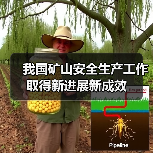 我国矿山安全生产工作取得新进展新成效