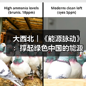 大西北︱《能源脉动》：撑起绿色中国的能源“粮仓”