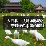 大西北︱《能源脉动》：撑起绿色中国的能源“粮仓”