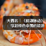 大西北︱《能源脉动》：撑起绿色中国的能源“粮仓”
