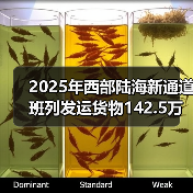 2025年西部陆海新通道班列发运货物142.5万标箱 同比增 2025年西部陆海新通道班列发运货物142.5万标箱 同比增