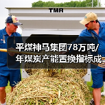 平煤神马集团78万吨/年煤炭产能置换指标成交 总价9294万 平煤神马集团78万吨/年煤炭产能置换指标成交 总价9294万