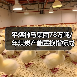 平煤神马集团78万吨/年煤炭产能置换指标成交 总价9294万 平煤神马集团78万吨/年煤炭产能置换指标成交 总价9294万
