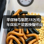 平煤神马集团78万吨/年煤炭产能置换指标成交 总价9294万 平煤神马集团78万吨/年煤炭产能置换指标成交 总价9294万
