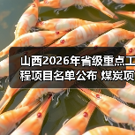 山西2026年省级重点工程项目名单公布 煤炭项目22个