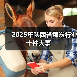 2025年陕西省煤炭行业十件大事 2025年陕西省煤炭行业十件大事