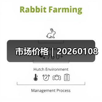 市场价格 | 20260108 市场价格 | 20260108