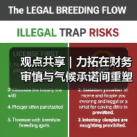 观点共享 | 力拓在财务审慎与气候承诺间重塑 观点共享 | 力拓在财务审慎与气候承诺间重塑