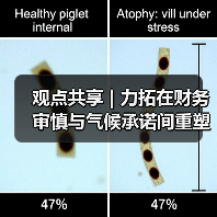 观点共享 | 力拓在财务审慎与气候承诺间重塑 观点共享 | 力拓在财务审慎与气候承诺间重塑