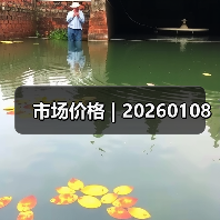 市场价格 | 20260108 市场价格 | 20260108