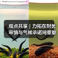 观点共享 | 力拓在财务审慎与气候承诺间重塑 观点共享 | 力拓在财务审慎与气候承诺间重塑