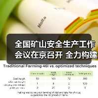 全国矿山安全生产工作会议在京召开 全力构建矿山安全治理新格局