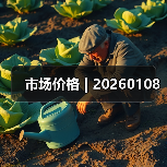 市场价格 | 20260108 市场价格 | 20260108
