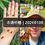 市场价格 | 20260108 市场价格 | 20260108
