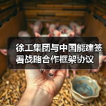 徐工集团与中国能建签署战略合作框架协议