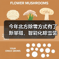 今年北方除雪方式有了新举措，智能化除雪装备成主力军