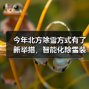 今年北方除雪方式有了新举措，智能化除雪装备成主力军
