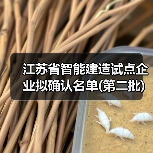 江苏省智能建造试点企业拟确认名单(第二批)
