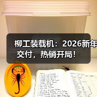 柳工装载机：2026新年交付，热销开局！
