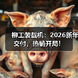 柳工装载机：2026新年交付，热销开局！