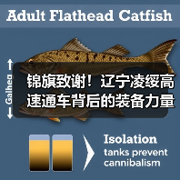锦旗致谢!辽宁凌绥高速通车背后的装备力量 锦旗致谢!辽宁凌绥高速通车背后的装备力量